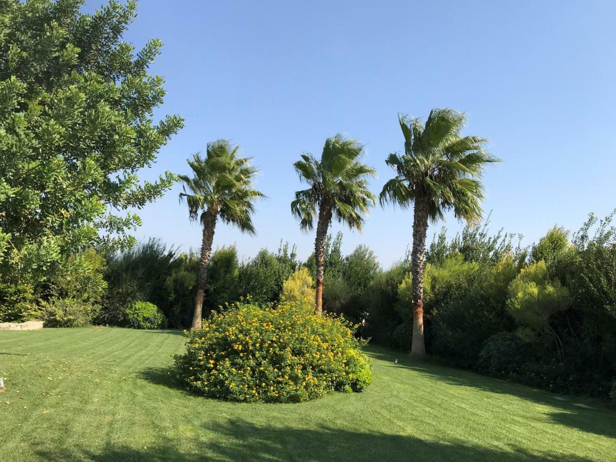 Relais Masseria Della Colomba - Agriturismo Francavilla Fontana Zewnętrze zdjęcie